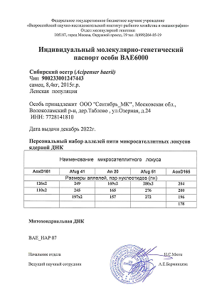 Фото генпаспорта